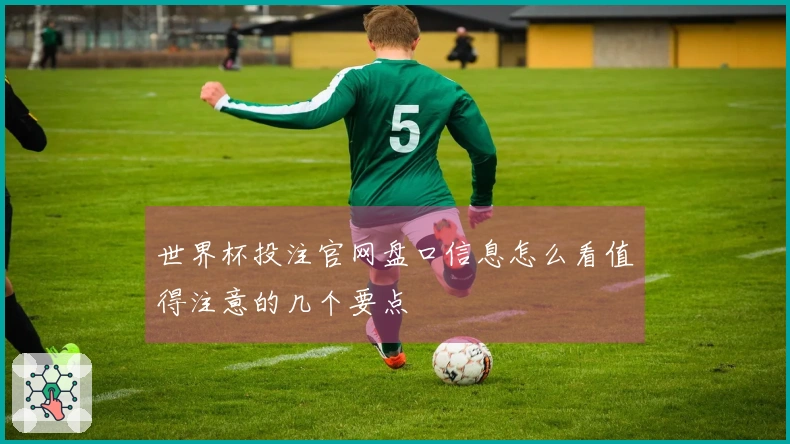 世界杯投注官网盘口信息怎么看值得注意的几个要点