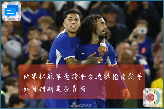 世界杯冠军竞猜平台选择指南新手如何判断是否靠谱