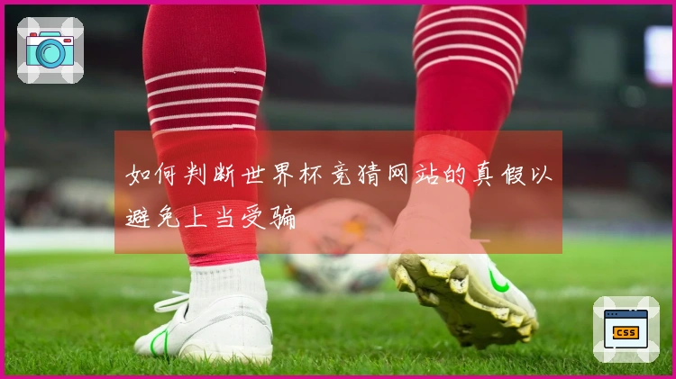 如何判断世界杯竞猜网站的真假以避免上当受骗