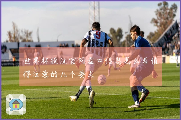 世界杯投注官网盘口信息怎么看值得注意的几个要点
