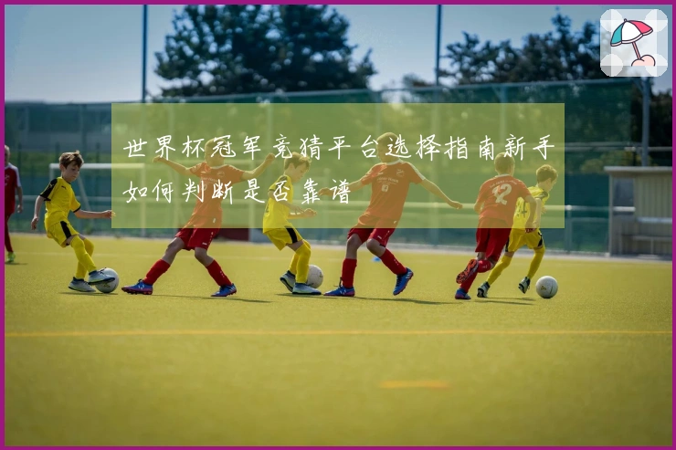 世界杯冠军竞猜平台选择指南新手如何判断是否靠谱